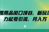 情趣用品风口项目，新玩法暴力起号引流，月入万