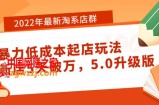 2022年最新淘系店群暴力低成本起店玩法：新店5天破万，5.0升级版！