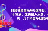 抖音音乐号U盘项目，一单几十利润，无需投入太多，一台手机，几个抖音号就能开始
