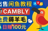 闲鱼赚钱小技巧，每单净赚10元，日赚100元 – 出售Cambly注册教程