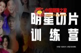 王子·明星切片线上训练营（2023），和明星一起拿红利，让明星为我们赚钱