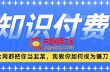 2024最新知识付费项目，小白也能轻松入局，全网都在教你做项目，我教你做镰刀【揭秘】