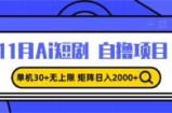 （13375期）11月ai短剧自撸，单机30+无上限，矩阵日入2000+，小白轻松上手