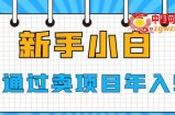新手小白如何通过卖项目年入50W【揭秘】
