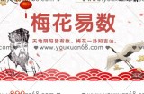军师府马修林梅花易数初级中级一体班（辛丑年)