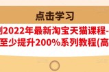 樊剑2022年最新淘宝天猫课程-转化率至少提升200%系列教程(高级)