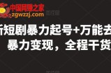 最新短剧暴力起号+万能去重，暴力变现，全程干货【揭秘】