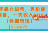 快手暴力起号，男粉变现项目，一天收入500+【详细玩法】【揭秘】