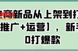 电商新品从上架到打爆【推广+运营】，新手从0打爆款
