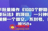 快手批量操作《1000个野路子信息差玩法》的项目，一分钟做一个视频一个图文，不封号，日引流150+【揭秘】