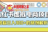 小红书学科项目，简单且可批量化的虚拟资源搞钱玩法，长期可做，日入300+