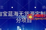 淘宝蓝海无货源定制细分项目，从0到起店实操全流程【揭秘】