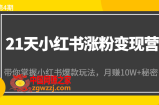 21天小红书涨粉变现营（第4期）：带你掌握小红书爆款玩法，月赚10W+秘密