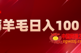 新平台零撸薅羊毛，一天躺赚100＋，无脑复制粘贴