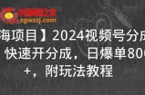 【蓝海项目】2024视频号分成计划，快速开分成，日爆单8000+，附玩法教程