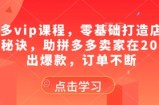 拼多多vip课程，零基础打造店铺的核心秘诀，助拼多多卖家在2025卖出爆款，订单不断