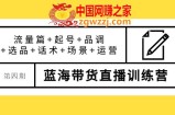 最新蓝海带货直播训练营：流量篇+起号+品调+选品+话术+场景+运营
