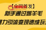 【全网首发】新手通过薅羊毛暴力引流变现速成玩法