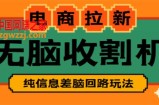 【信息差项目】外面收费588的电商拉新收割机项目【全套教程】
