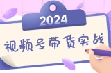 （12612期）2024视频号最新带货实战课：无人直播/书单号卖货/个人IP口播 (附资料素材)