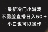 最新冷门游戏不露脸直播，轻松日入50+，小白也可操作