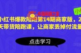 小红书爆款陪跑第14期商家版，21天带货陪跑课，让商家丢掉付流量