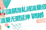 咸鱼引流精准私域流量成交流量无限延伸【揭秘】