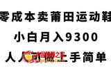 零成本卖莆田运动鞋，小白月入9300，人人可做上手简单【揭秘】