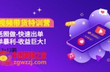 短视频带货特训营（11+12+13期）听话照做-快速出单-简单暴利-收益巨大！