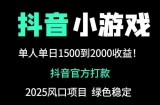 抖音官方小游戏2025全网最新玩法，暴利赚钱项目，单机日入2000+