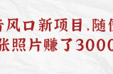 抖音风口新项目，随便拍几张照片赚了3000+！【视频教程】