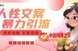 独家人性文案玩法，暴力引流多重变现，保姆级教程【揭秘】