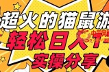 【首发实操教程】轻松日入1K的猫鼠游戏【软件+项目素材】【揭秘】