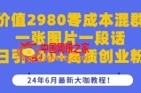 价值2980零成本混群一张图片一段话日引200+高质创业粉，24年6月最新大咖教程【揭秘】