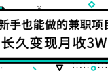 游戏发行人项目，新手小白上手简单，长久变现月收3W+【视频教程】