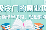 超级冷门的副业项目，每天操作半小时，轻松躺赚20+，无脑操作【视频教程】