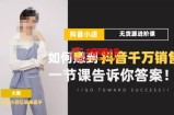 梨子会·抖店无货源进阶冲刺课，如何赚到抖音千万销售，这套课程会告诉你答案