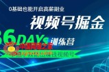 视频号掘金营-36天手把手教做出赚钱视频号：0基础也能开启高薪副业