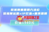 短视频垂营销方法论：短视频运营+IP打造+垂类营销，三频共振（价值1980）