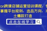 Ozon跨境店铺运营培训课程，快速掌握平台规则，选品方向，本土爆款打造