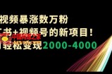1条视频暴涨数万粉小红书+视频号的新项目！单月轻松变现2000-4000【揭秘】