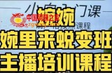 婉婉·婉里来蜕变班（主播课）全方位理解底层逻辑并灵活运用
