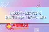 （7955期）白版养号-视频号总流量新手到受欢迎大神实操课