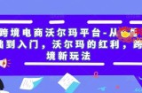 跨境电商沃尔玛平台-从0基础到入门，沃尔玛的红利，跨境新玩法