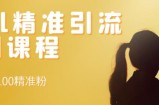 soul精准引流系列课程，每天引流100精准粉