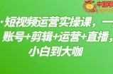 晨哥·短视频运营实操课：1部手机，账号+剪辑+运营+直播，从小白到大咖