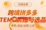 跨境拼多多TEMU实操与选品，​掌握平台运营方法技巧，选品避坑12条标准，爆款的底层思路等