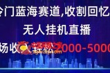 冷门蓝海赛道，收割回忆粉，无人挂机直播，单场收入轻松2000-5w+【揭秘】