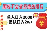 在国内不怕被拒绝的项目，单人日入2000，团队日入20000+【揭秘】