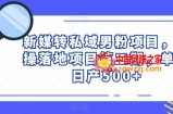 新媒转私域男粉项目，实操落地项目第二期，单号日产500+